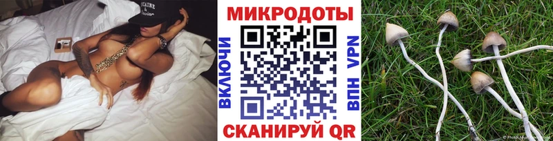 Псилоцибиновые грибы прущие грибы  Волоколамск 